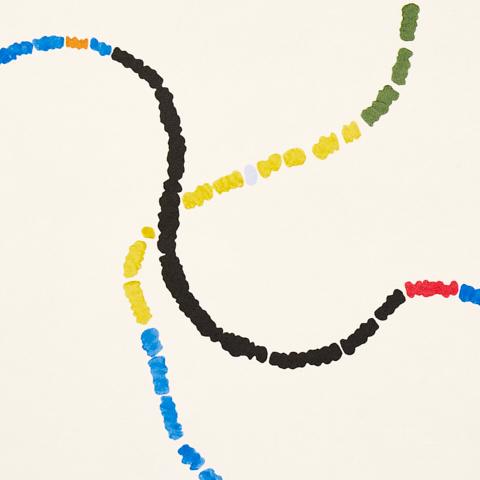 Turini - Bright Multi Wallpapers | Schumacher