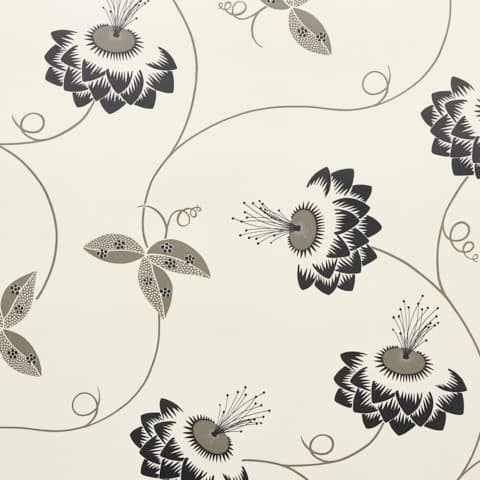 MERLIN - BLACK & CREAM