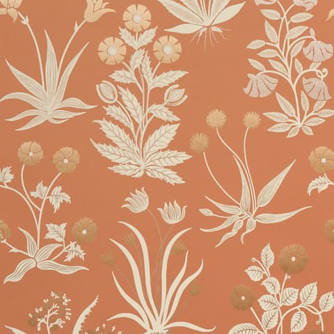 CULPEPER - OX ORANGE