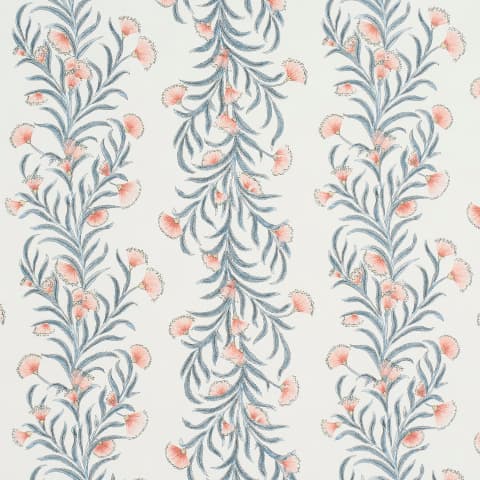 TASMANIAN MIMOSA - PINK & GREY