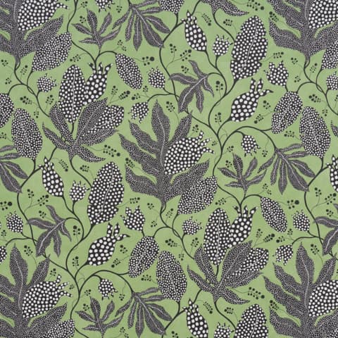 POLKA DOT JUNGLE - BLACK & GREEN