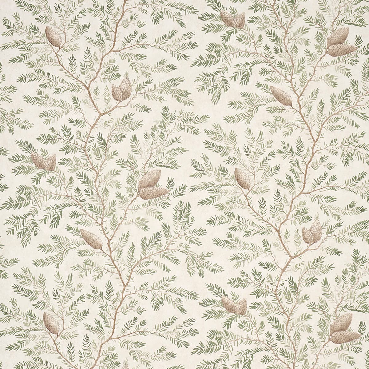 Pinewood - SPRUCE