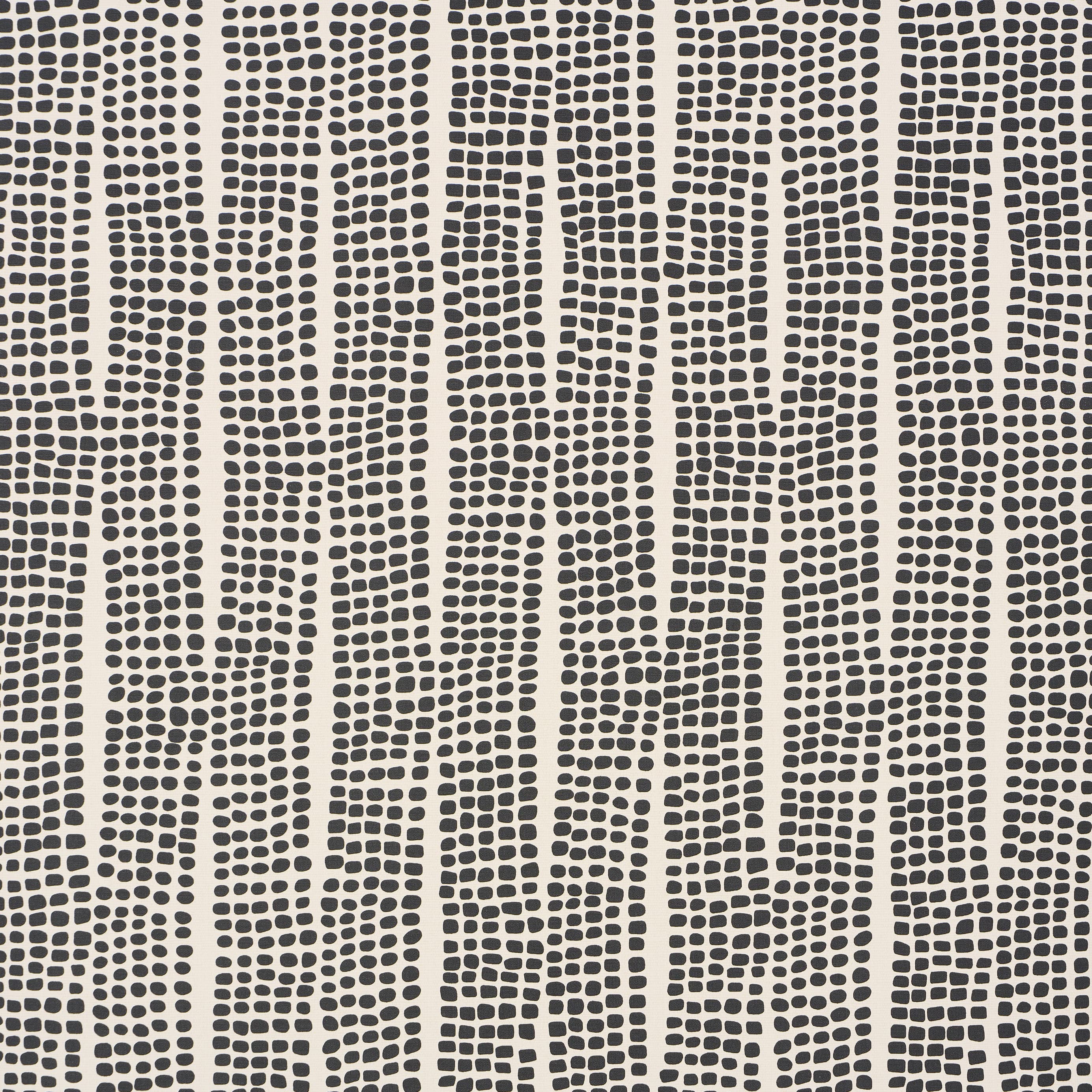 NOLAND VINYL - CARBON