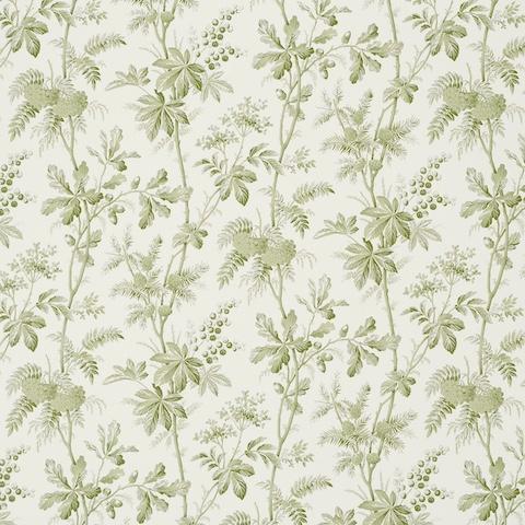 Brantwood Vine - LEAF