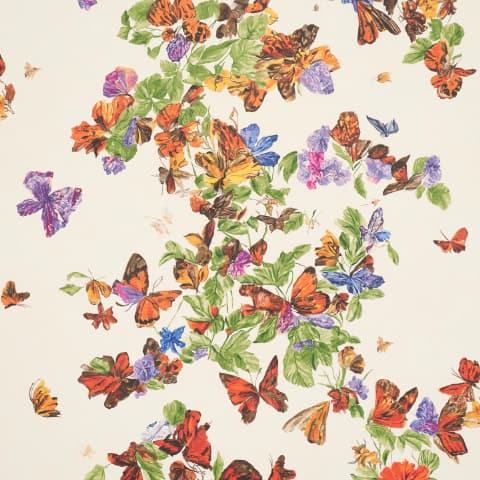 Pyne Butterfly - MONARCH ORANGE