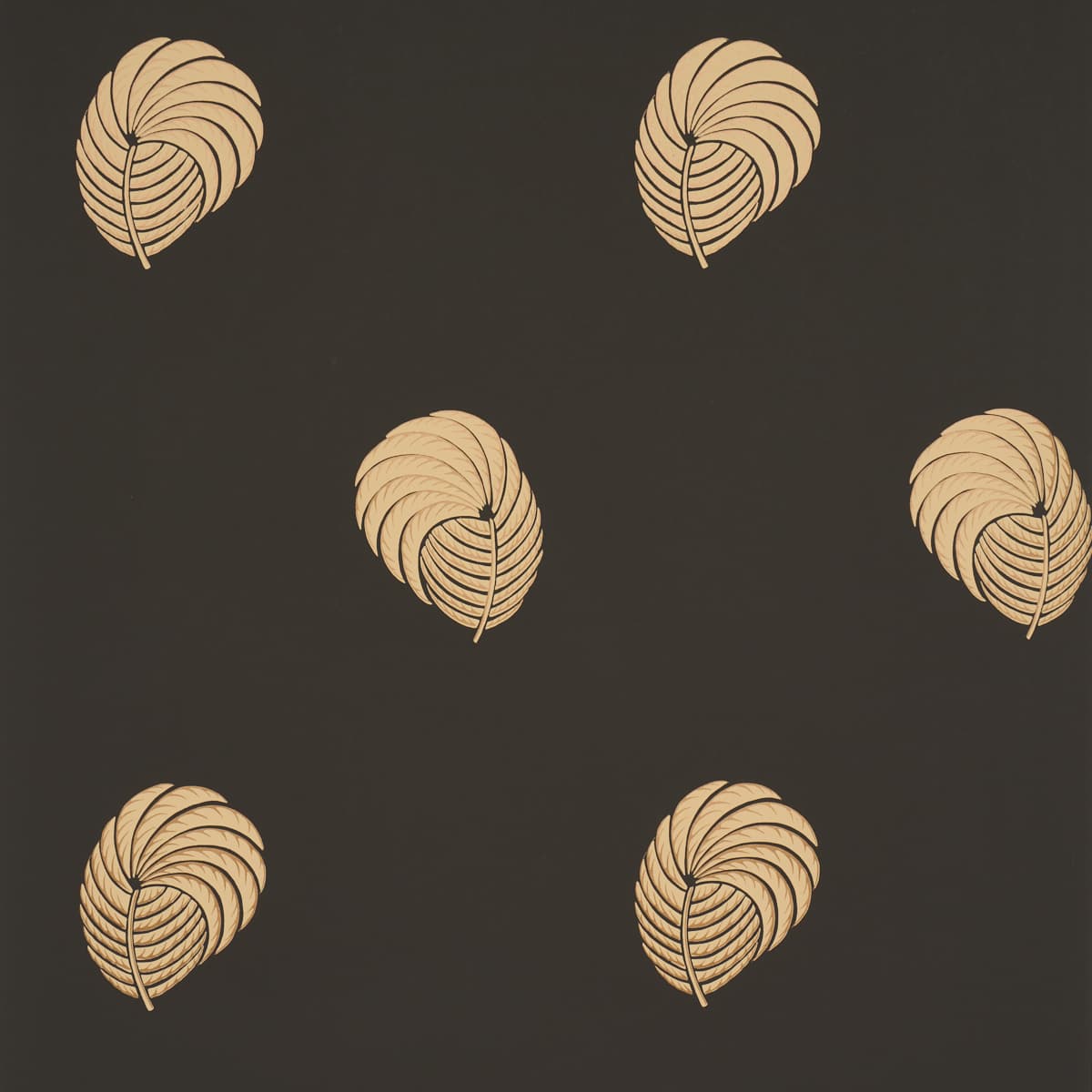 Royal Plume - CARBON
