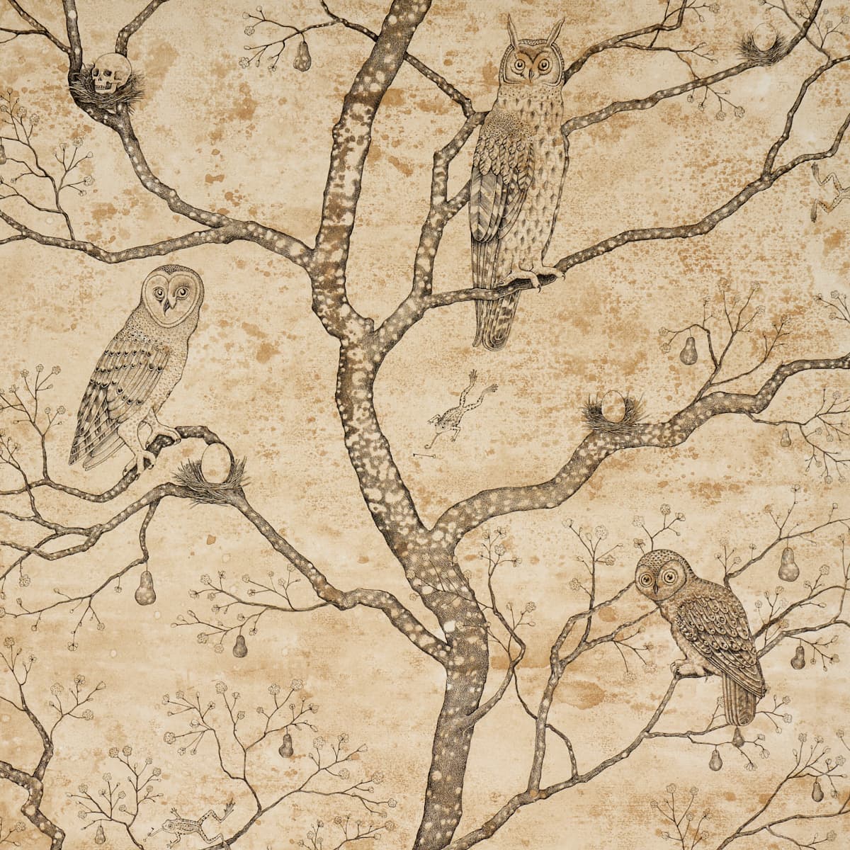 L’attesa Nella Notte - PARCHMENT