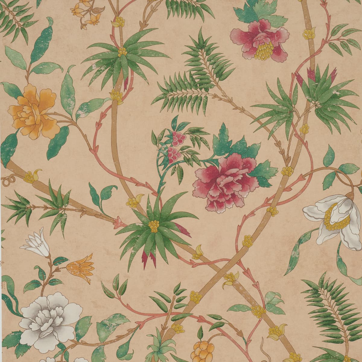 Arasi Botanical - CORAL