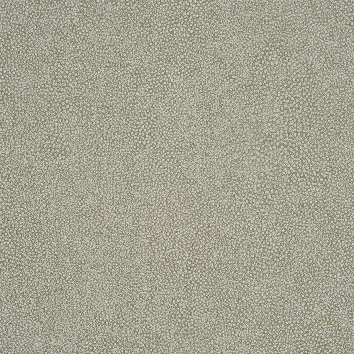 DUNBAR SHAGREEN VINYL - OLIVE