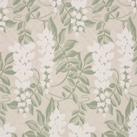 Lucia Wisteria - SAGE