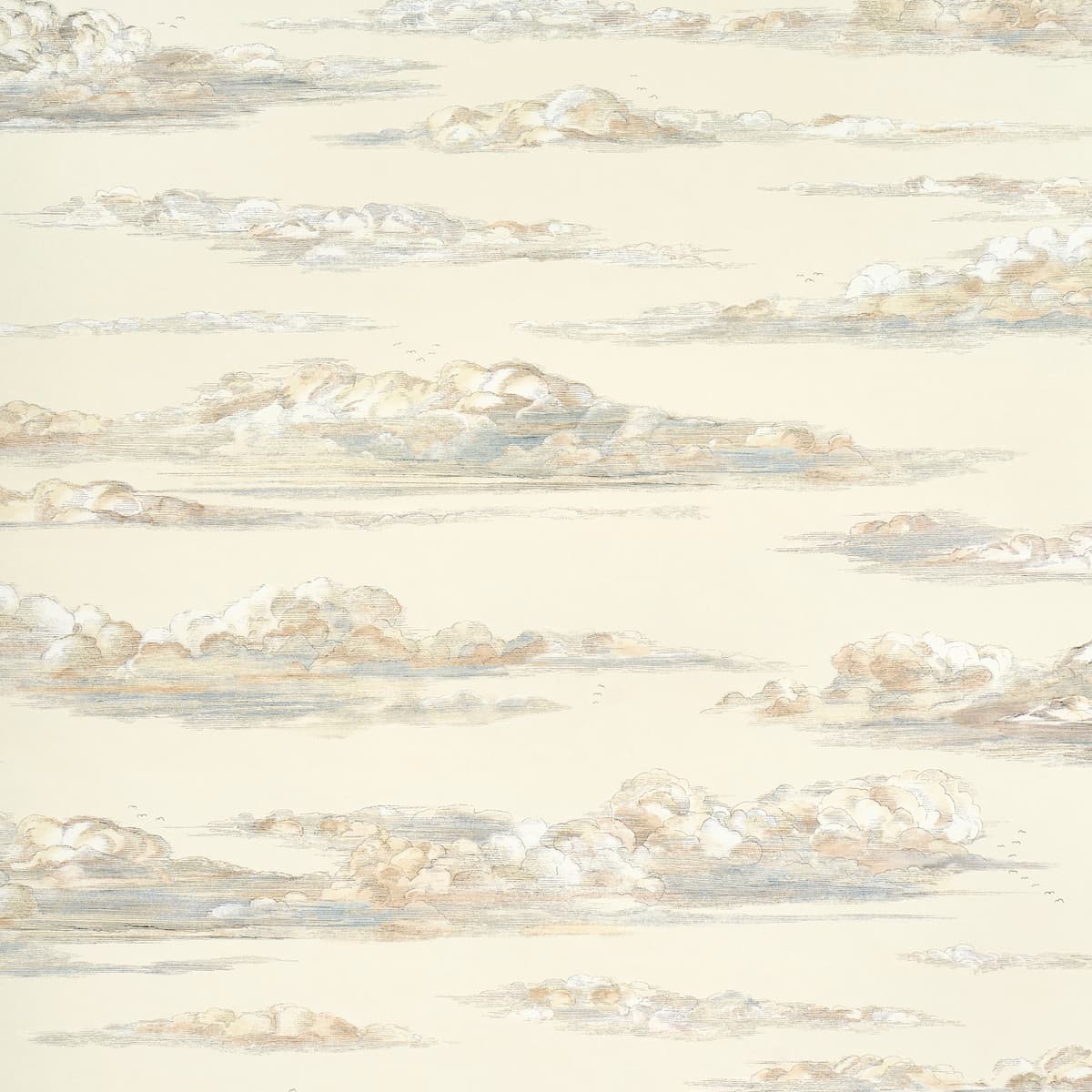 Mr. Darcy's Clouds - PEMBERLEY