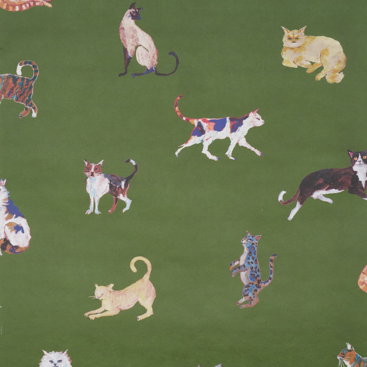 Cats - GREEN