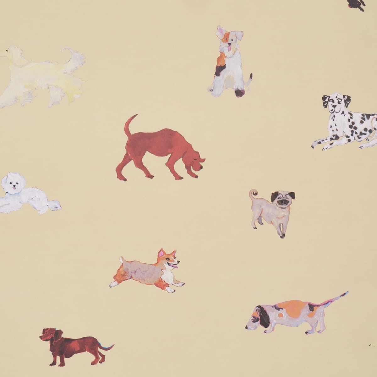 Dogs - BUTTER