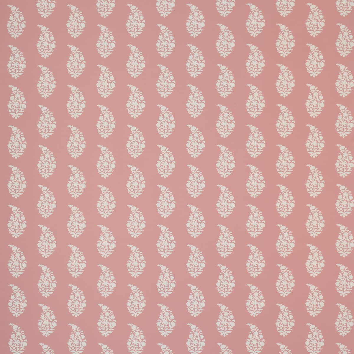 KAIA PAISLEY - PINK