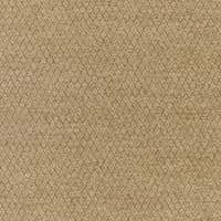 PAVIA - PARCHMENT