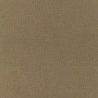 CHIAROSCURO VELVET - MINK