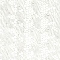 TRACERY LACE SHEER - SILVER