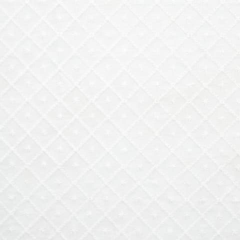 Isabella Sheer Embroidery - IVORY