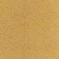 KENYA TEXTURE - CAMEL