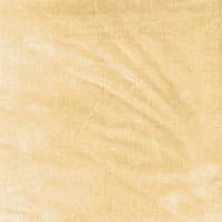 VENETIAN SILK VELVET - CHAMPAGNE