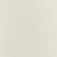 BOTTICELLI SILK TAFFETA - BONE