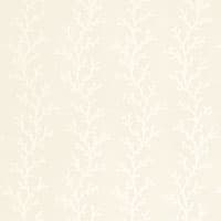 CORAL SHEER - POLAR WHITE / ECRU