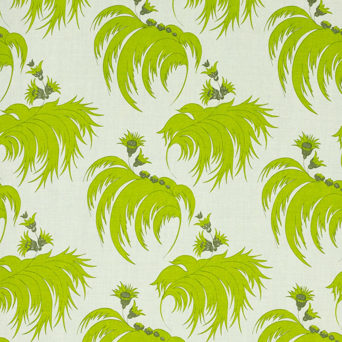 Palmetto - PALM