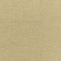 GOLD DUST - GILT