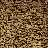 SERENGETI - TIGRE