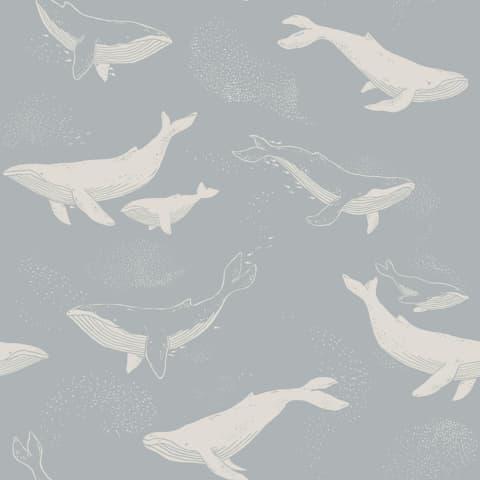 WHALES - SLATE