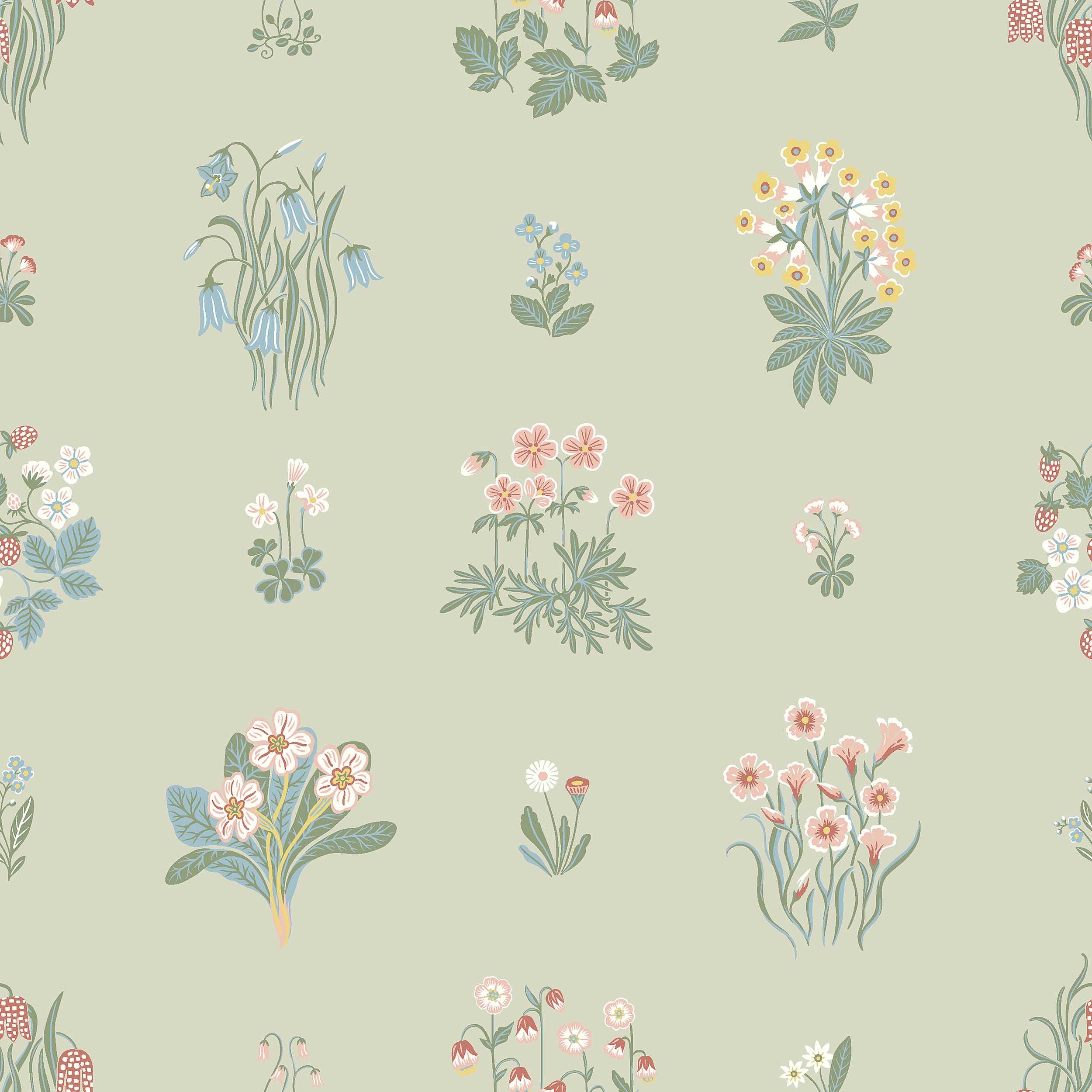 ÄNGSFLORA - SAGE