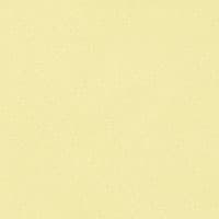 Blake Polished Cotton - BUTTERCUP