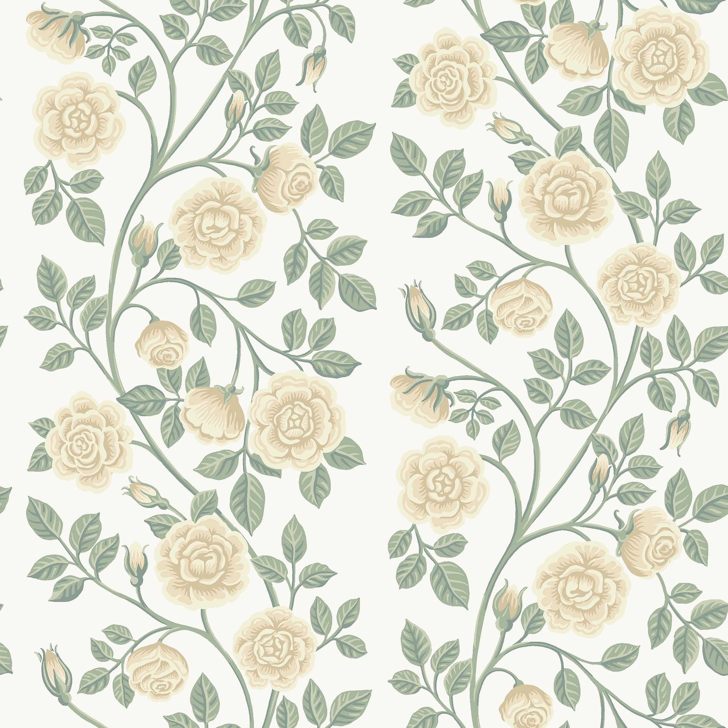 ELSA - SAGE