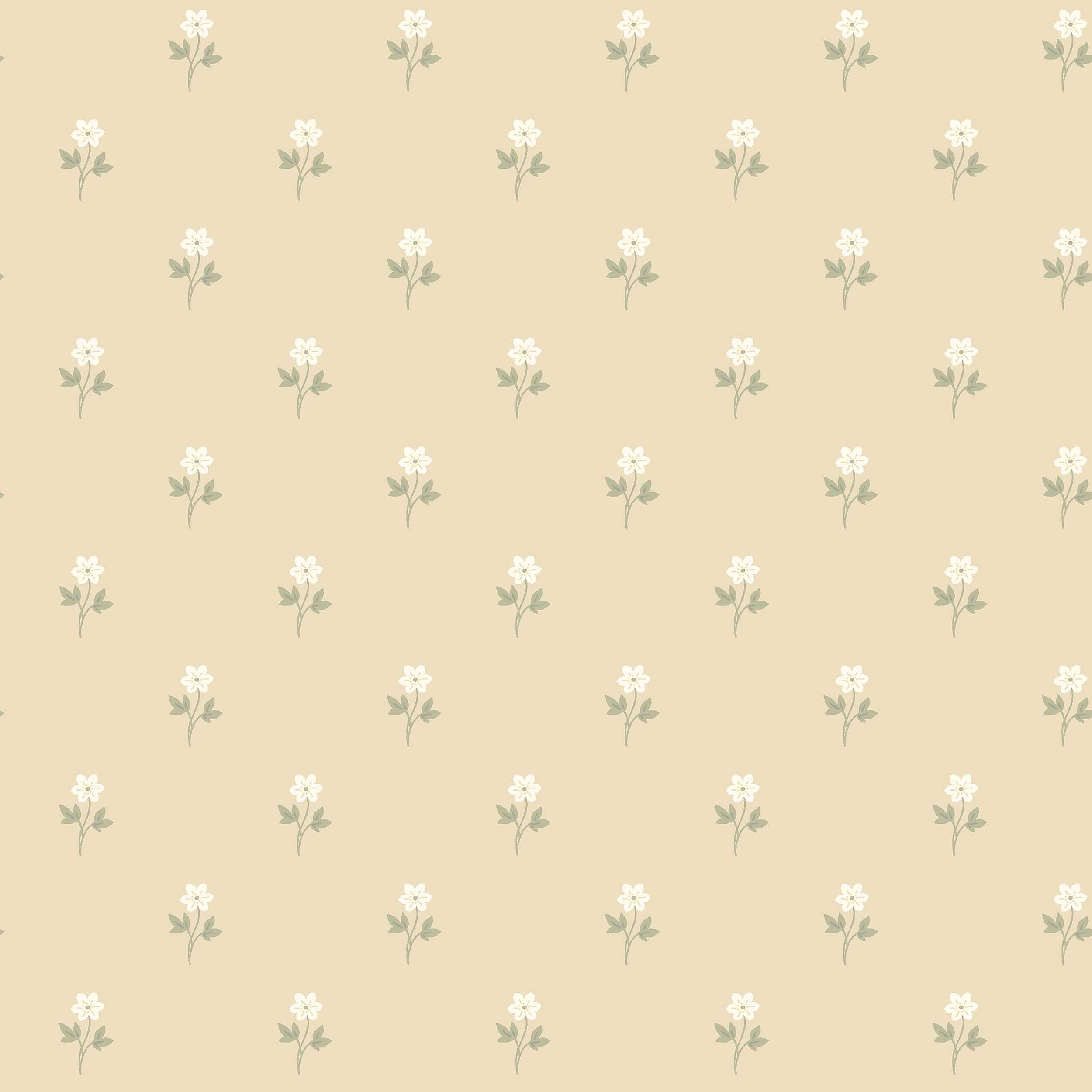 ANEMONE BY BORÅSTAPETER - WHEAT