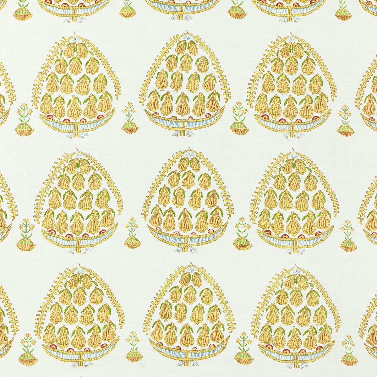 Fig - MAIZE