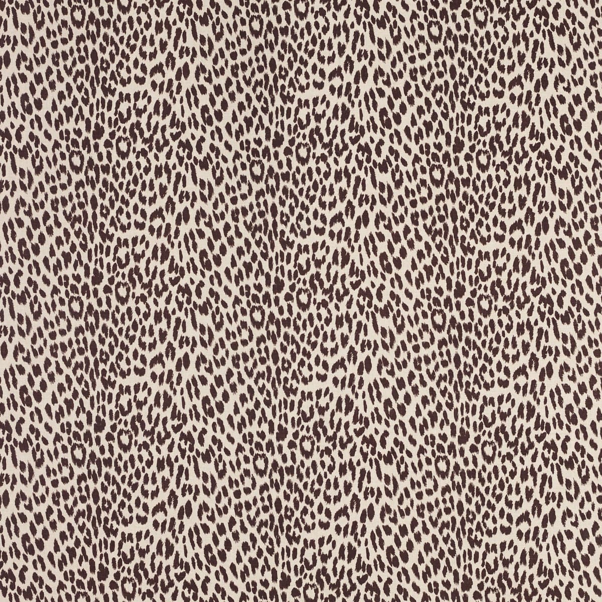 Leopard By Raoul - MOLE
