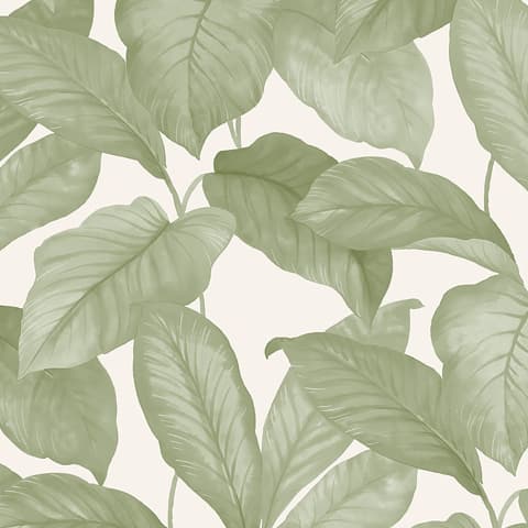 BO - LEAF
