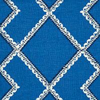 BRANSON EMBROIDERY_BLUE