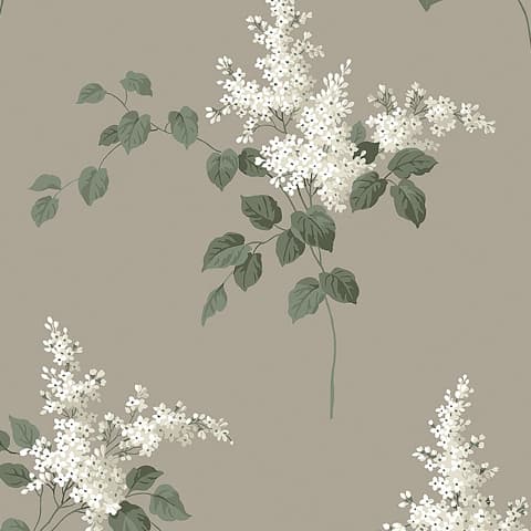 LILACS - GRISAILLE