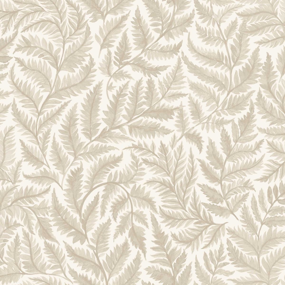 FERNS - NATURAL
