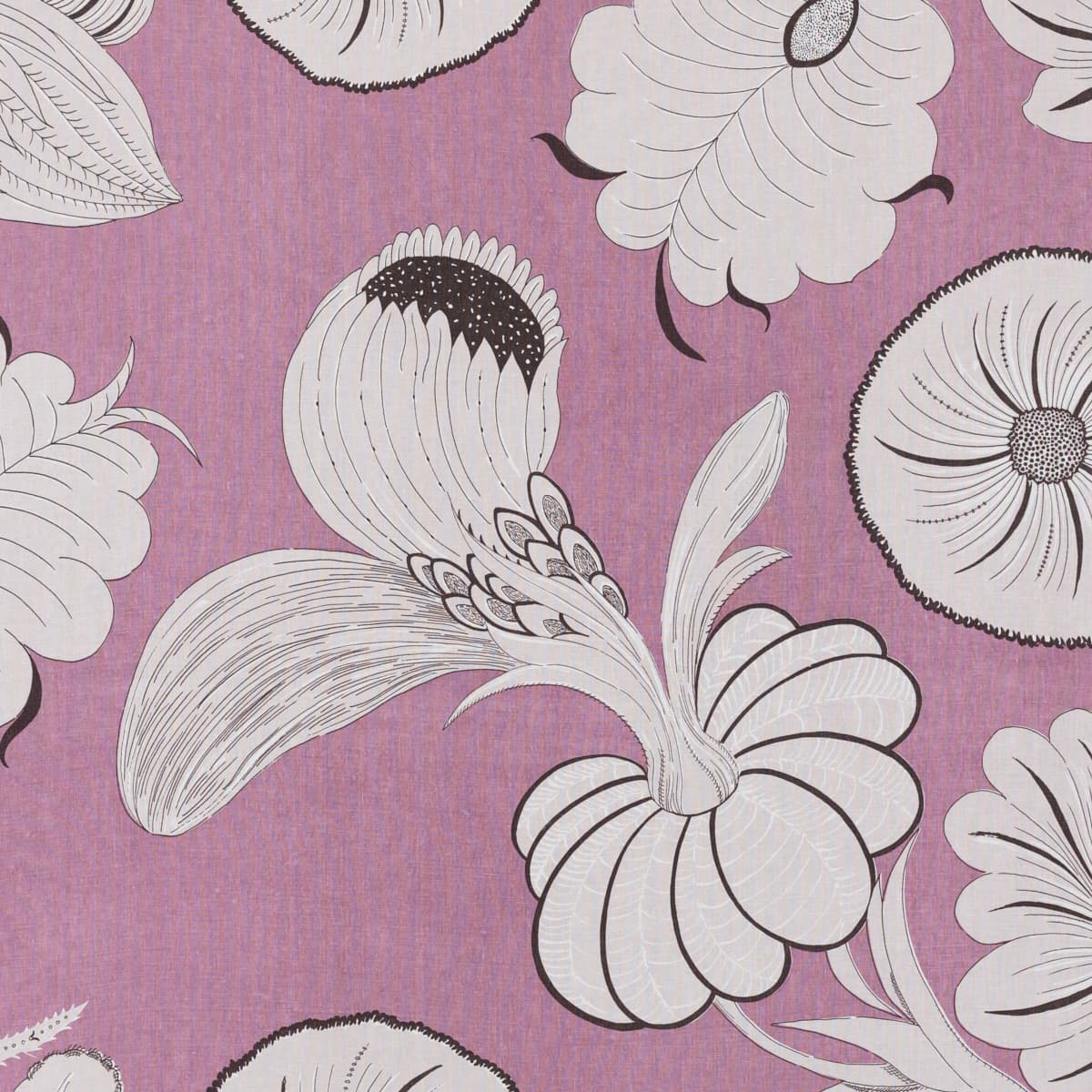 Tonala - LAVENDER