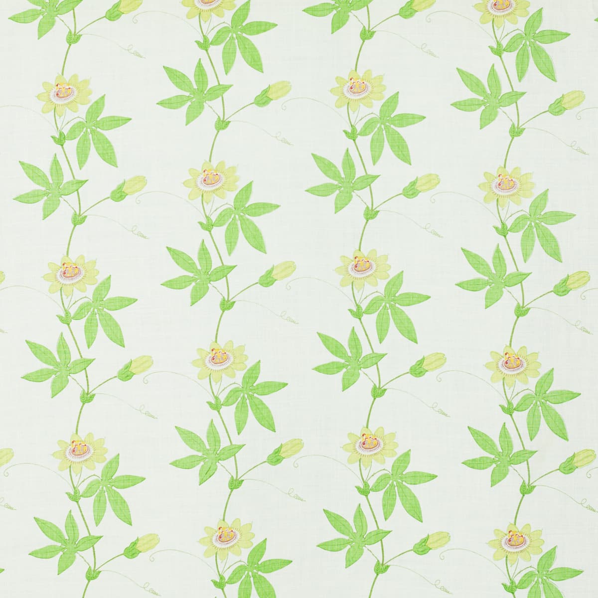 Flora By Raoul - SPRING