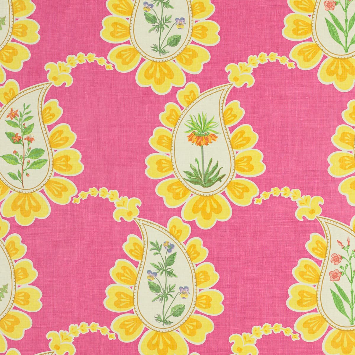 Bombay - FUCHSIA