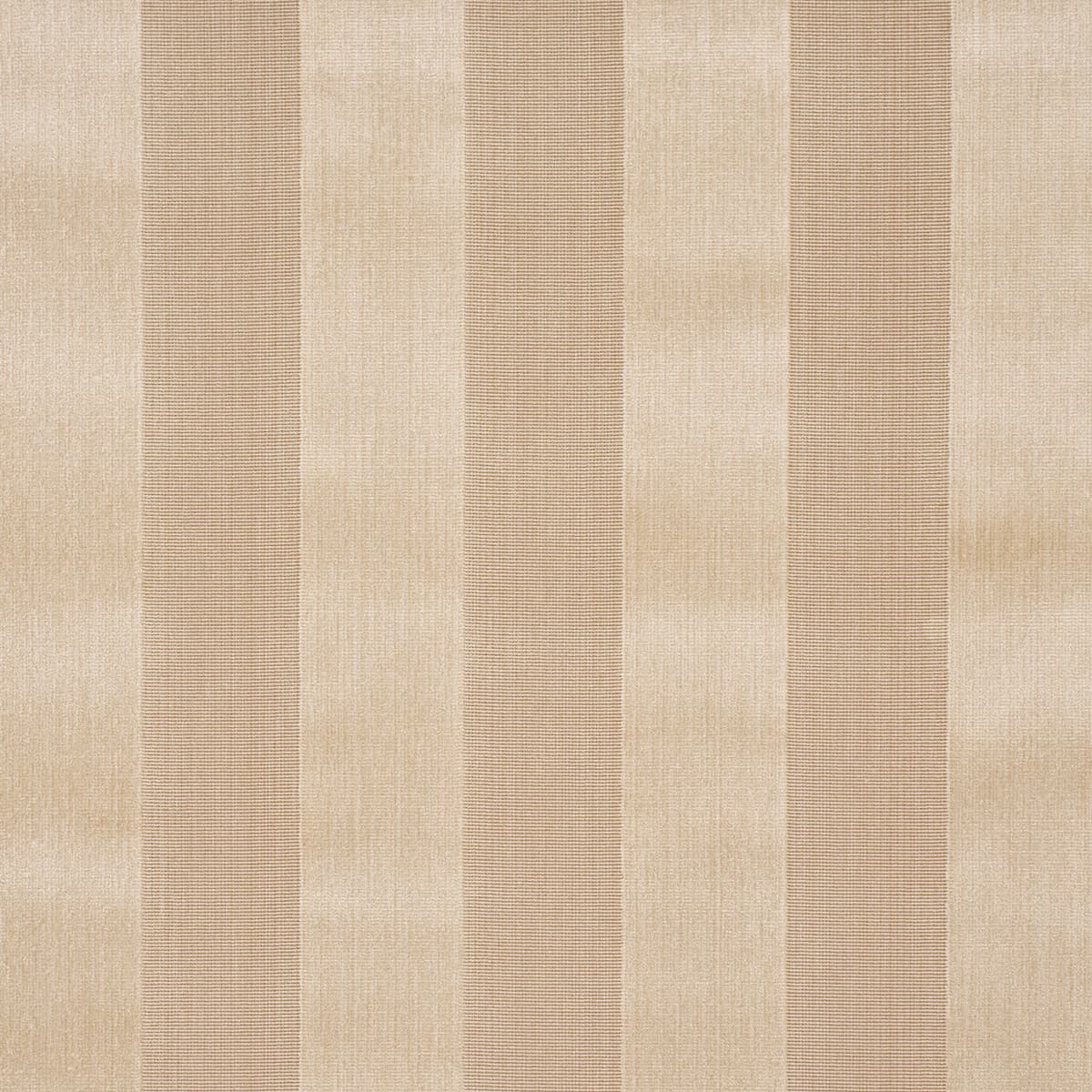 CUNARD STRIÉ VELVET - CHAMPAGNE
