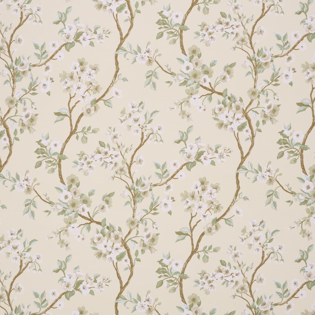 CHERRY BLOSSOM - CITRON