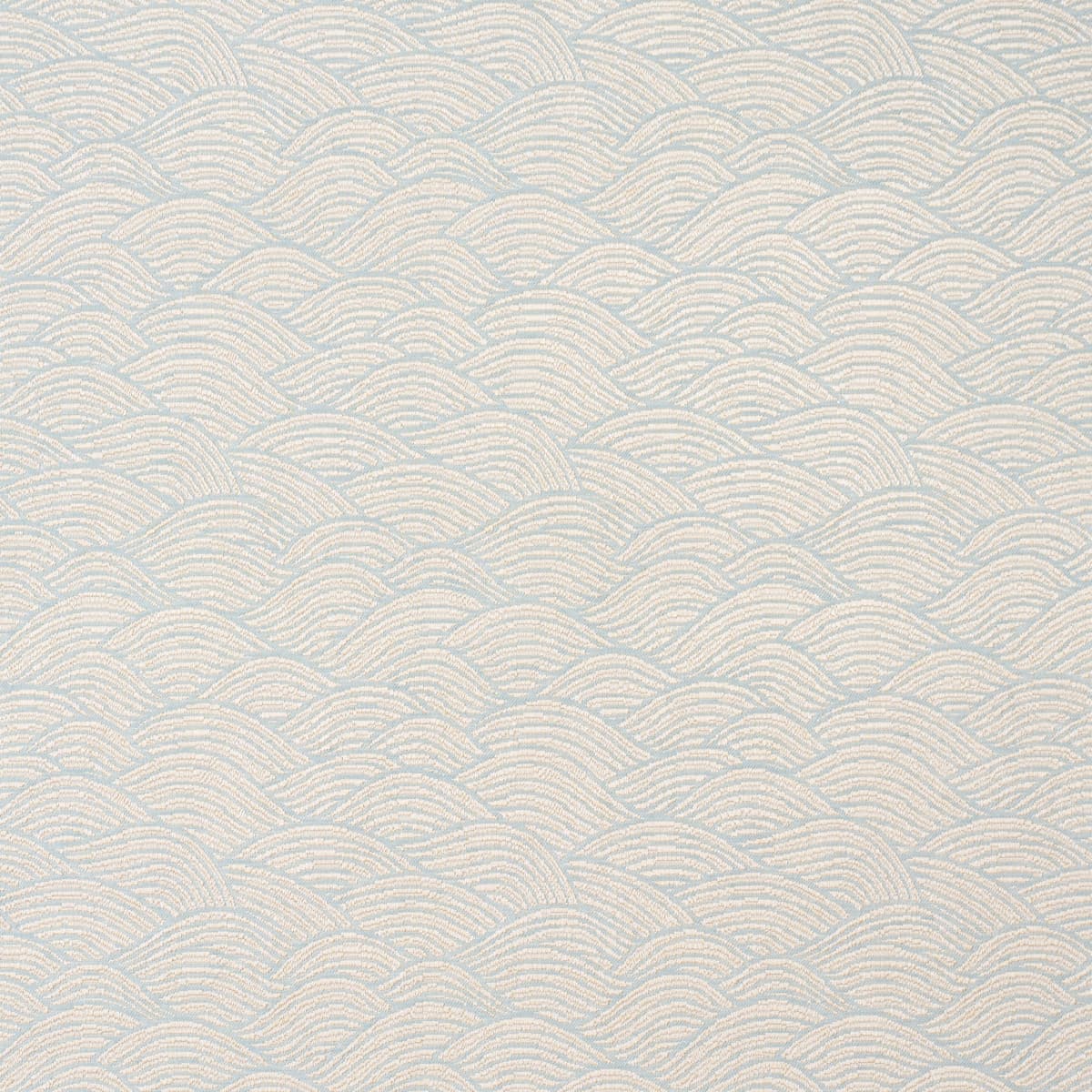 SYMPHONY SCALLOP - SKY