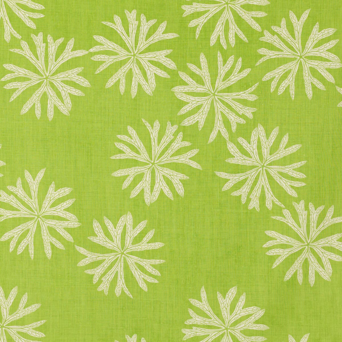Everglades - LAWN