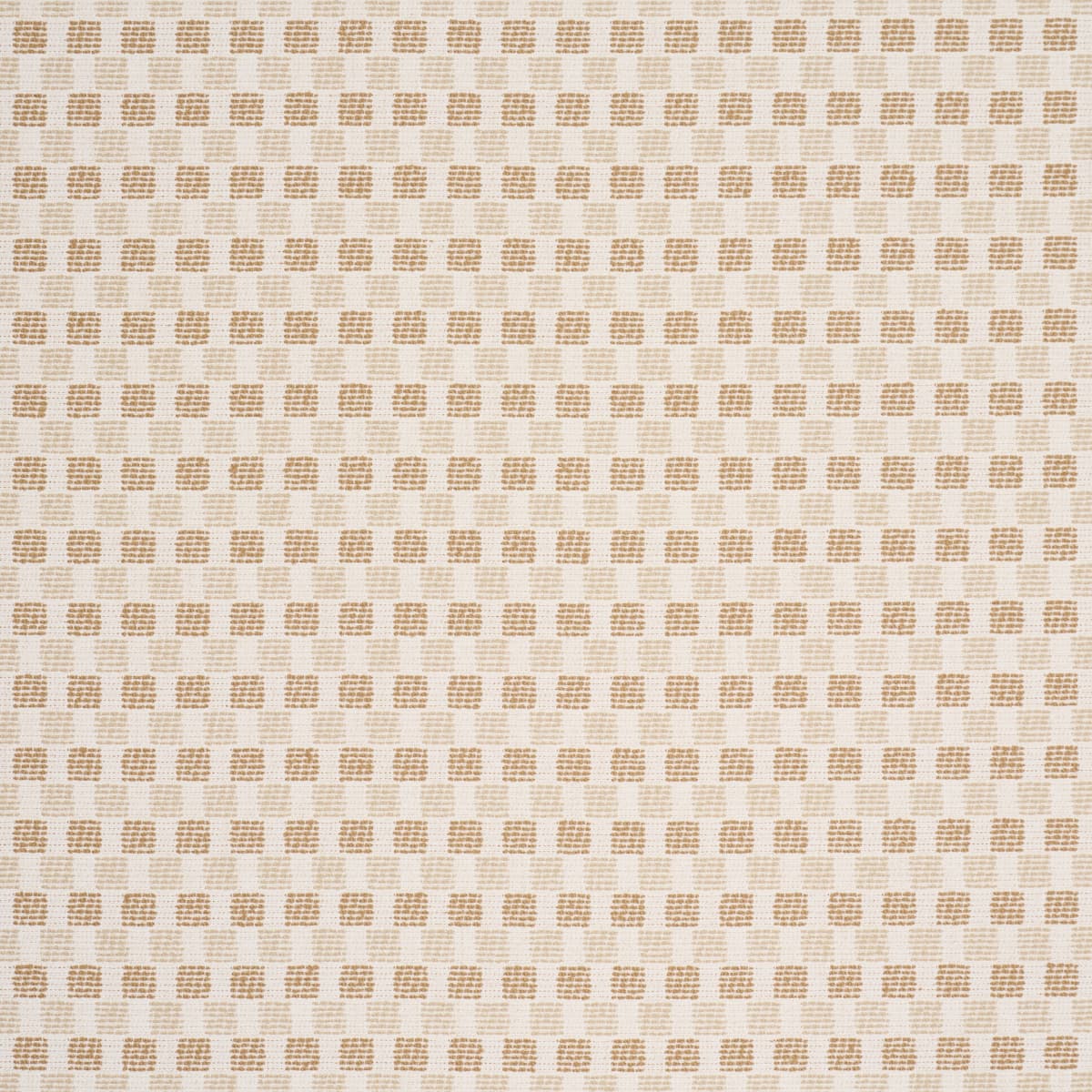 ELARA PERFORMANCE - STRAW