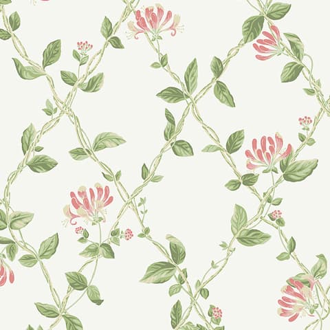 HONEYSUCKLE - IVORY