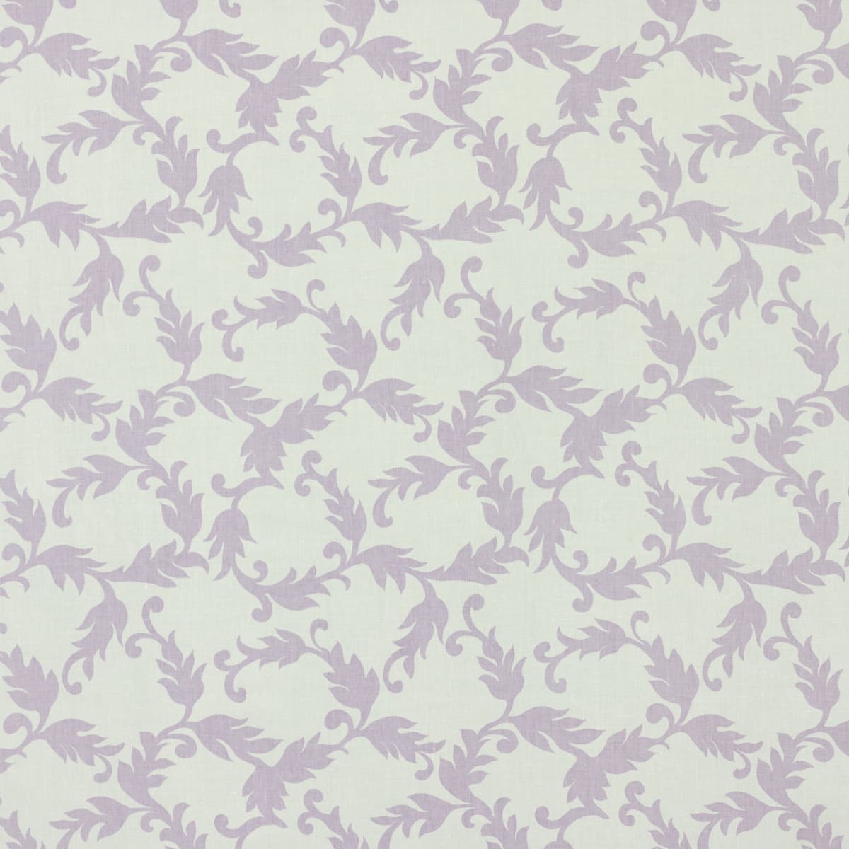 Cyril - LAVENDER